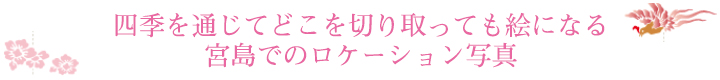 四季を通じてどこを切り取っても絵になる宮島でのロケーション写真