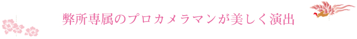 弊所専属のプロカメラマンが美しく演出